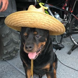 Meet your Posher, Matt